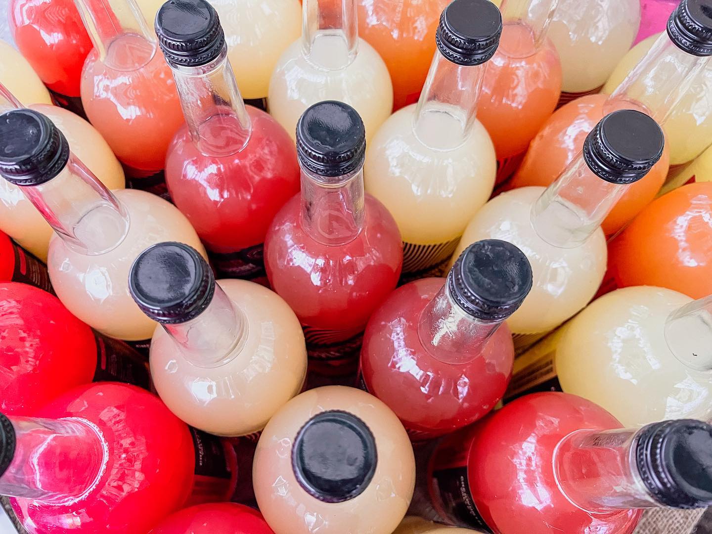 Thirty-Bottle Bundle (250ml)